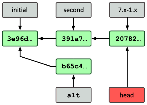 branch pointers