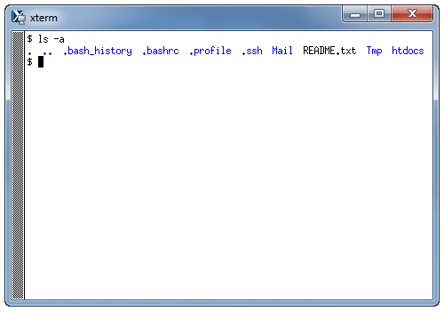 xterm ls -a